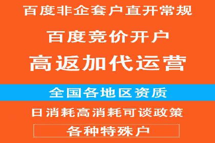 SEM运营公司经典案例点评